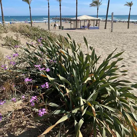 Golden Dreams Of Marbella